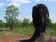 Termite Mound, Northern Territory